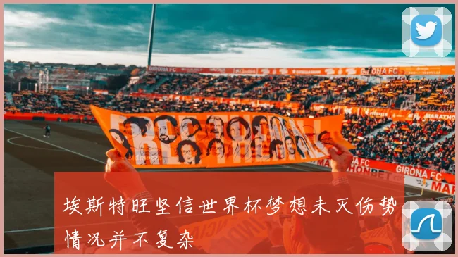 埃斯特旺坚信世界杯梦想未灭伤势情况并不复杂