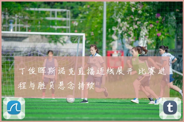 丁俊晖斯诺克直播连线展开 比赛进程与胜负悬念持续