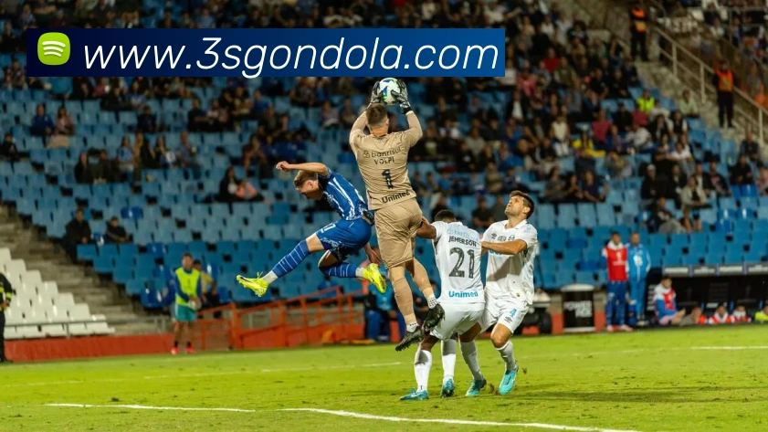 App Interface Preview